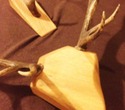 antlers2