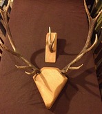 antlers3