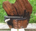 oak4