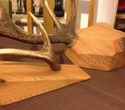 antlers1