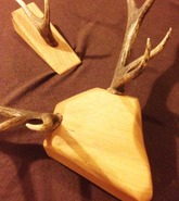 antlers2